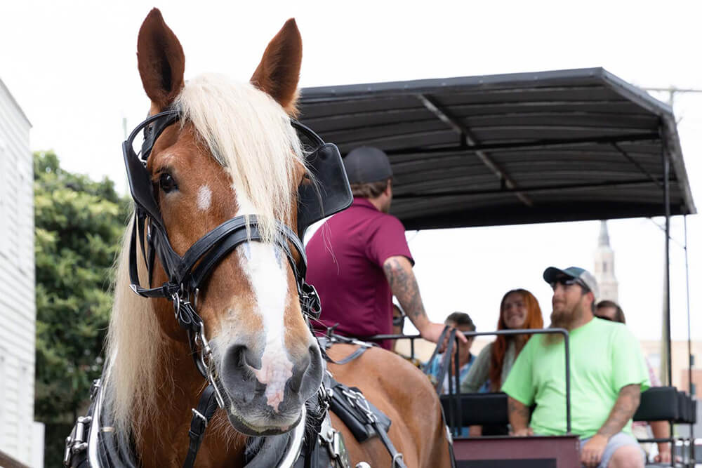 a person riding on the back of a brown horse