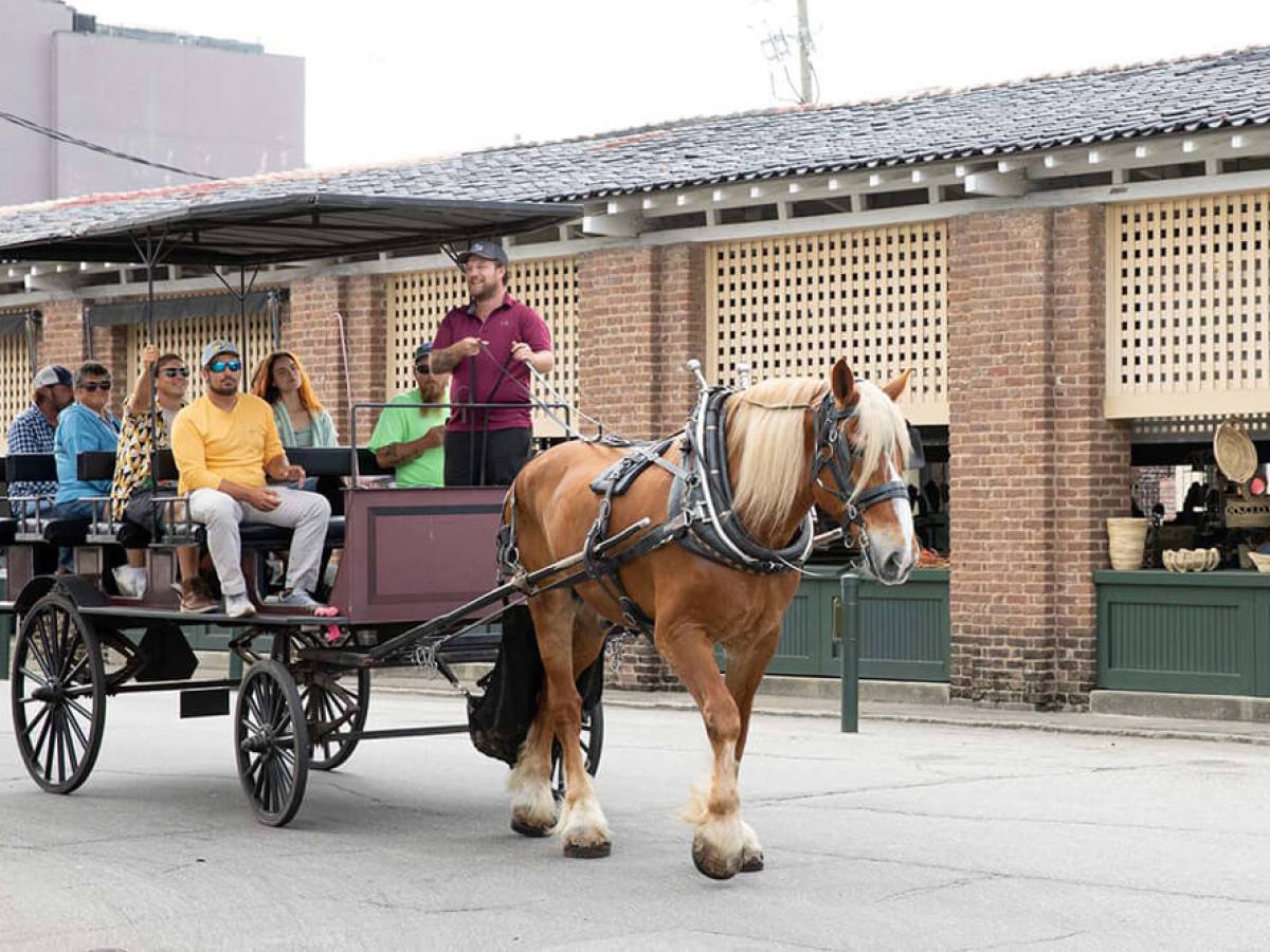 Charleston, SC Carriage Tours | Charleston Carriage Works